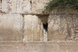 Parasha of the week by Rabbi Shmuel Rabinowitz, Rabbi of the Western Wall and Holy Sites